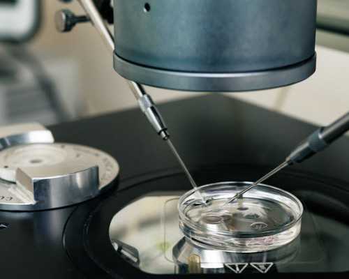 压滤机泵图片大全,拉肌运动快速瘦小腿