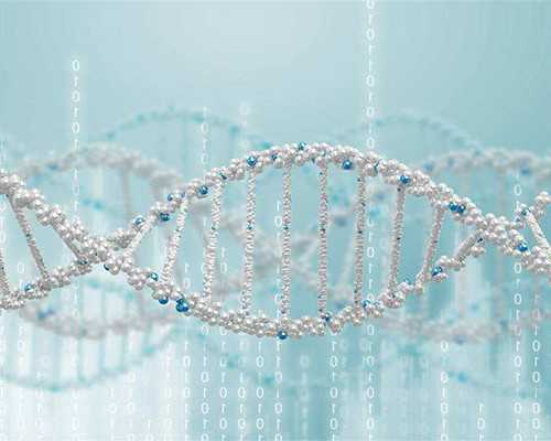 香港验血当天吃油腻,香港尖沙咀可以验血查性别的医院_亲身经历分享给大家