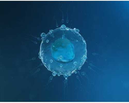 香港三家验血结果都是女孩,试管婴儿会有宫外孕吗？