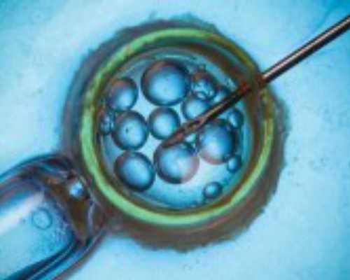 香港验血9周有百分比,不孕需要哪些检查(不孕不育应该检查什么)