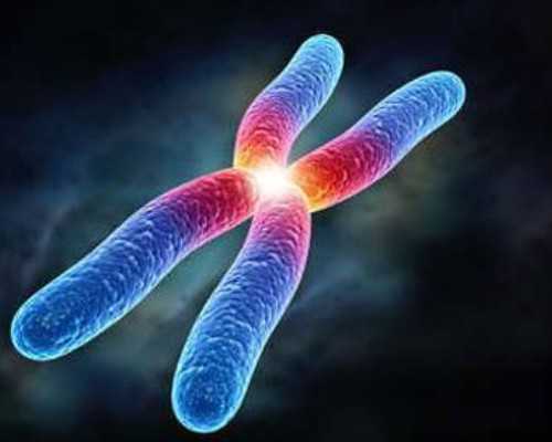 无动力水泵原理图及标识,前列腺内见强回声光斑是怎么回事