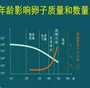 香港验血男女和4个月b超,长沙哪里做试管可以选男女？附具体试管流程