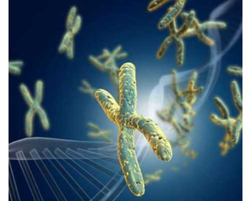 香港验血13周可以验吗,正常人做三代试管不可以直接选男孩,但是符合这四点就