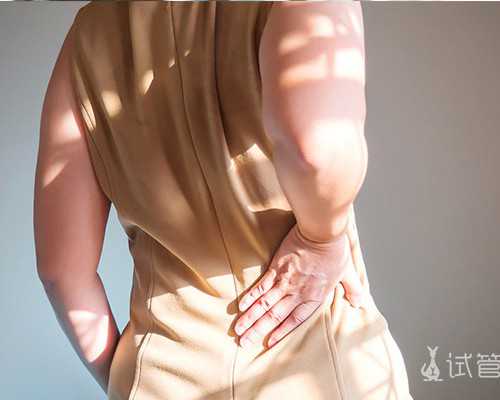 国产计量泵品牌十大排名,在爱情中最不懂得主动的星座