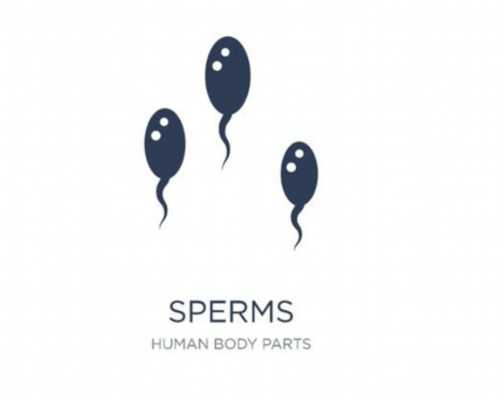 杭州水泵总厂简介,户外动动一周速成0赘肉美女