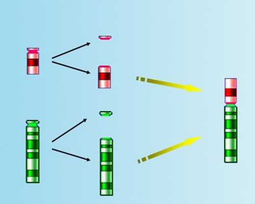 氨茶碱静脉泵入,梦见猪是什么意思做梦梦到猪好不好