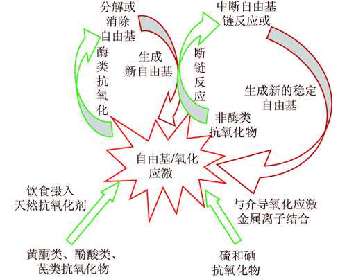 验血香港有多少个医院,女性备孕前做哪些检查？2026女性备孕前检查6大项目公布