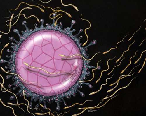 香港验血把7周弄成8周,香港查血液查男女有科学依据吗_验血是女孩_能翻盘么