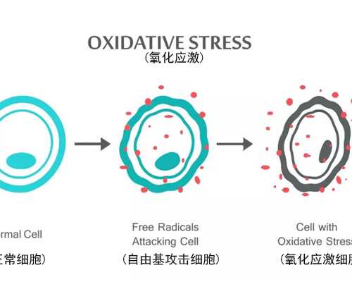 水泵百科,和金牛座的恋爱攻略