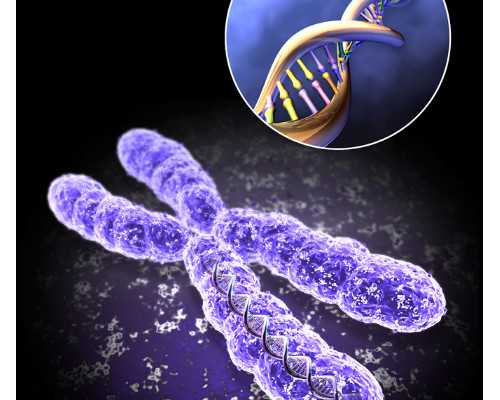 怀孕10周香港验血男孩 准确吗,备孕男女吃什么