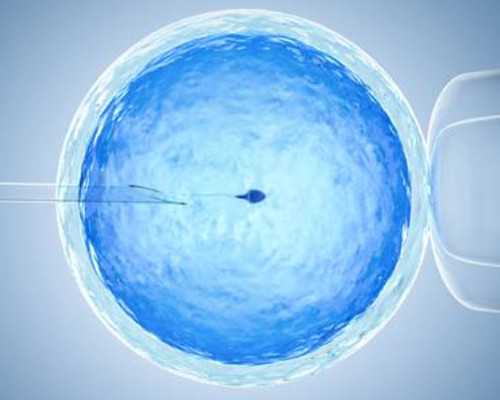 香港验血5周要满足什么条件,月经紊乱等症状可能是不孕不育吗？