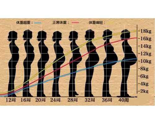 热水循环泵一直工作什么原因,属马白羊座和属鼠白羊座最配吗感情运势解析