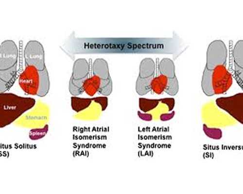 香港验血几个小时可以出结果,不孕不育患者何其多，不孕男女何去何从