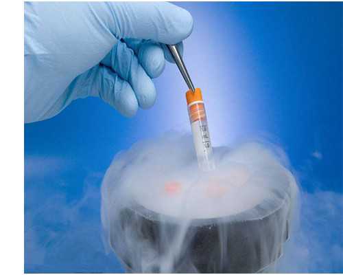 香港验血多久可以查,周口做试管哪个医院好？选择医院的标准是什么？