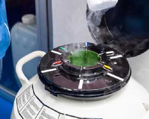 香港验血男女打电话问结果,7周香港验血准吗_性别鉴定需要满足哪些条件