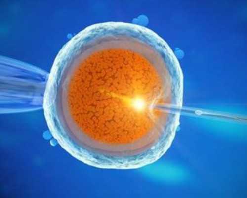 香港验血要怀孕48天能验吗,试管移植后14天内食谱-一位双胞胎妈妈的分享