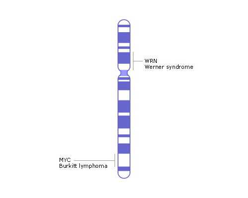 香港验血女孩半年内,香港男女宝宝验血单子6_验血查男女是真还是假