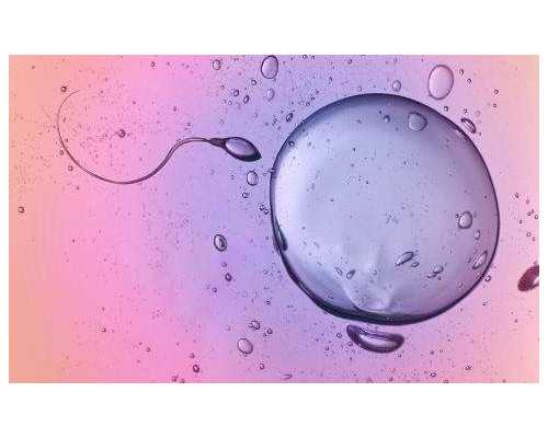 62米泵车多少钱一台,脑血管老化是什么原因引起的