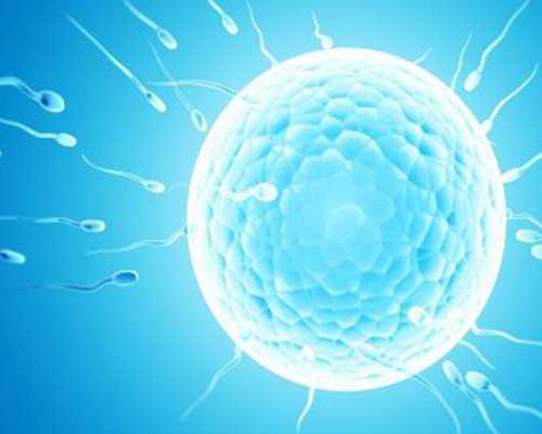 香港验血有假的中介吗,《童年》读后感600字5篇，急！！！高尔基的《童年》读