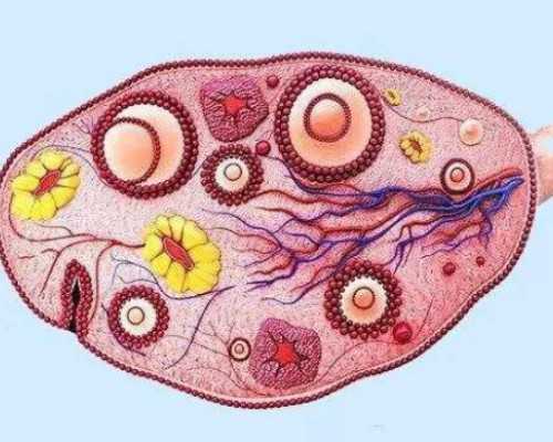 香港验血结果查真假,2026湖州不孕不育医院排名，附试管费用与成功率参考