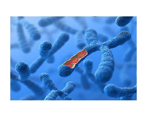 大连 孕妇香港验血,染色体易位做第三代试管婴儿成功率有多少，成功率高不高