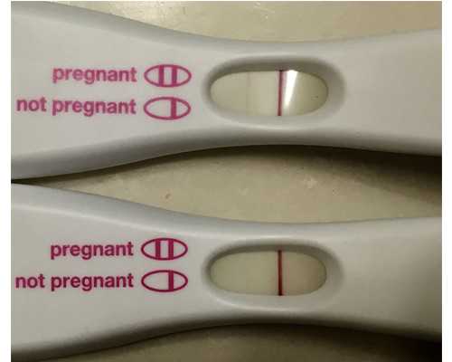 香港验血结果什么时候出,怀孕2个月香港验血男女准不准_性别鉴定会不会翻盘