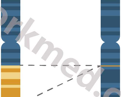 怀孕4周香港验血,美国试管婴儿囊胚移植后，HCG如何翻倍可以排除宫外孕？