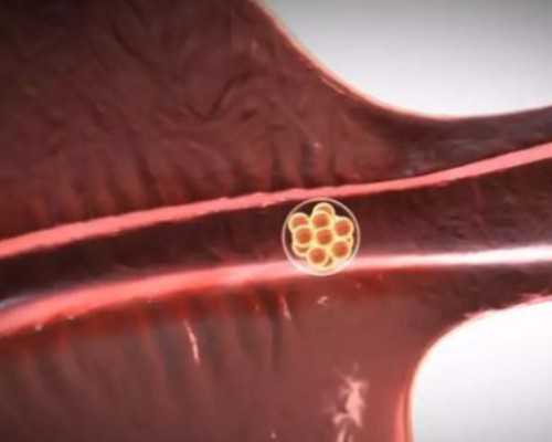 验血香港4天血液变质吗,香港验血报告单有假_流程手续如何办理!