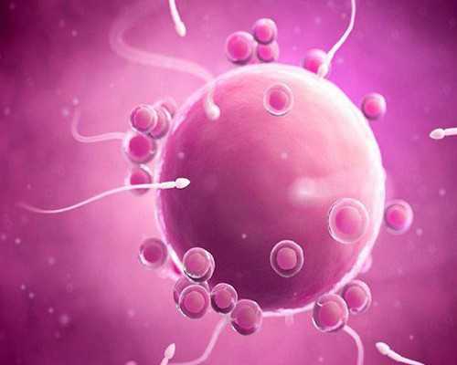 香港验血7周不准确,做试管前如何提高卵子质量？三个月的“养囊”攻略