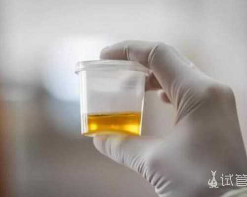 香港验血曝光 没怀孕,4个月去香港查性别_抽血鉴定性别要多少费用!