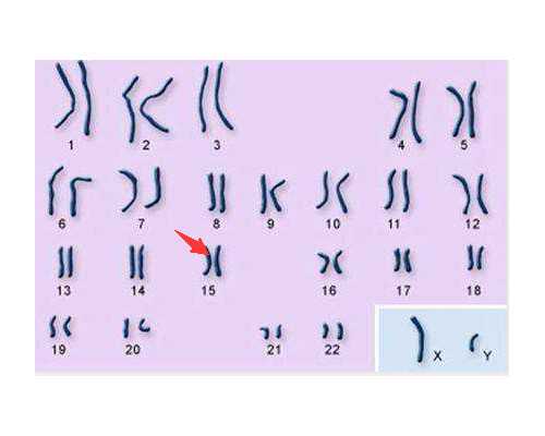 汕头香港验血中介,香港查男女最低多少钱_查性别详细流程是什么!