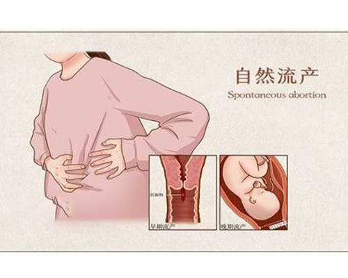 香港验血查男女要抽几管血,香港怀孕两个月查男女准吗,验血查性别哪家比较好