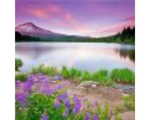 香港验血机构有多少家,严重子宫粘连，想在重庆找家靠谱的助孕公司有哪些建