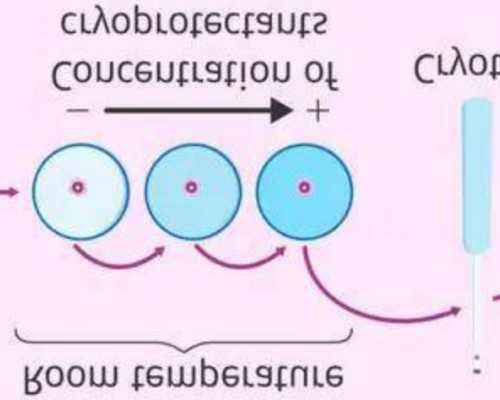 邮寄香港验血真实性,女性备孕期的饮食很重要，4个营养重点、3个注意事项，都