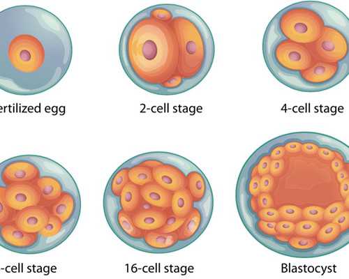 打了保胎针香港验血测男女准吗,经期痛经怎样缓解