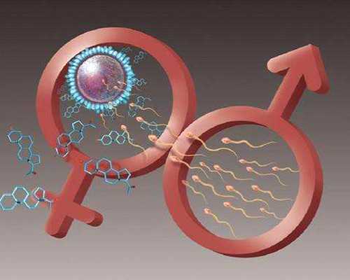 怀孕多少周可以香港验血查性别,送血去香港查男女几天结果准备,有Y染色体生女