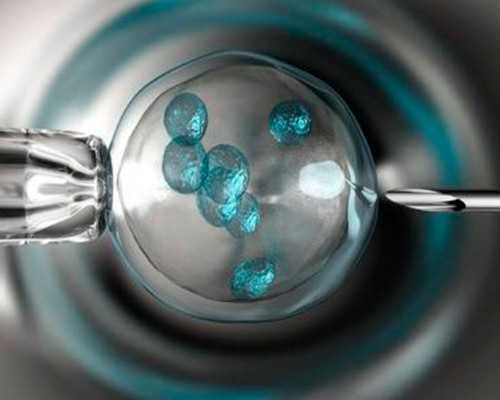 香港验血超过几周不能验,双侧巧囊需要先手术再试管婴儿吗做试管成功率高吗