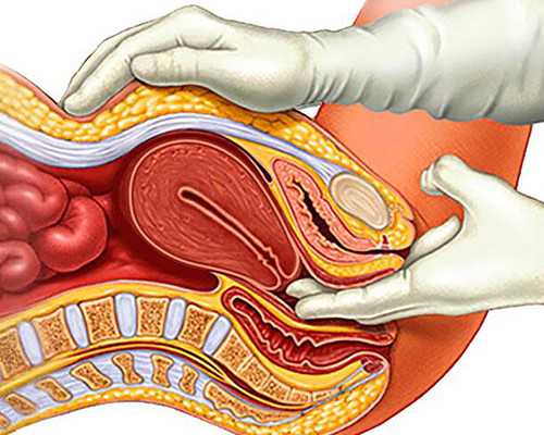 水泵的种类和工作原理,最容易动心的星座女生