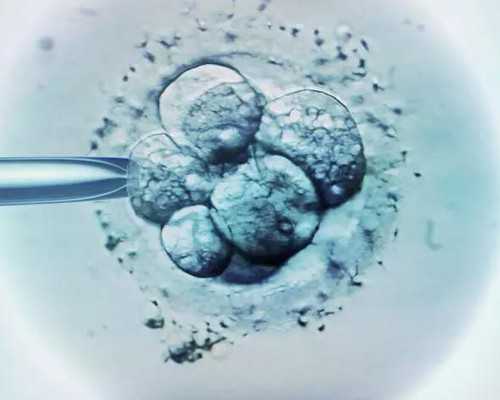 有在香港验血不准的吗,香港哪个医院查男女?讲述去香港验血查男女的真相!