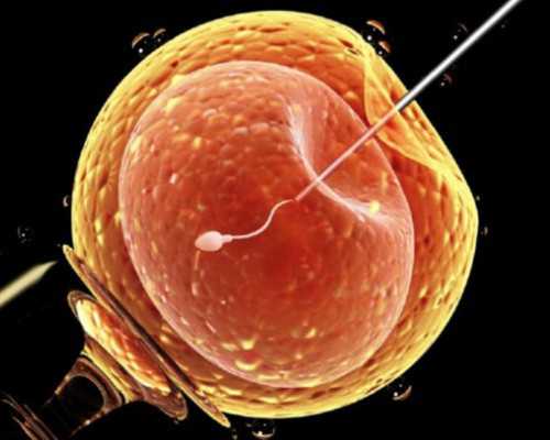 怀孕香港验血亲子鉴定结果图片,大z香港验血报告单_科学吗时间是多久!