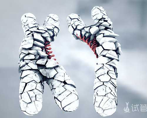 速腾燃油泵召回是什么意思,吃一周鸡蛋能瘦多少