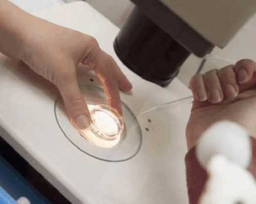 香港邮寄验血样本变质,2026廊坊试管婴儿医院排名，附试管费用、成功率一览