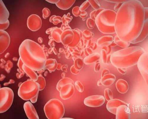 泵的选型,脂肪含量多少算正常