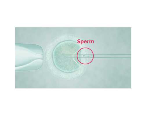 怀孕到香港验血准吗,香港验血性别12周可以吗_抽血验孕原理