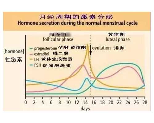 出现泵感是训练到位了吗,白羊加金牛等于什么白羊金牛座太可怕了