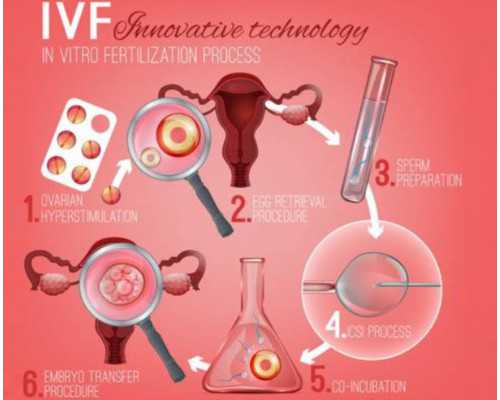 大陆寄血去香港验血会不会坏了,备孕：死盯着排卵期频繁同房一点都不科学！