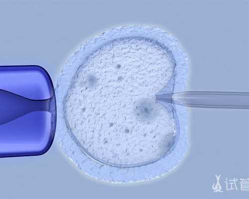 陶瓷柱塞泵补油活塞工作原理,蚂蚁上树