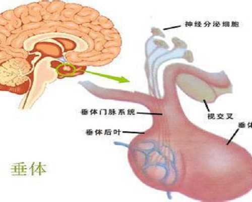 香港邮寄验血结果是Y,月经不正常会不孕吗不孕不育检查哪些项目
