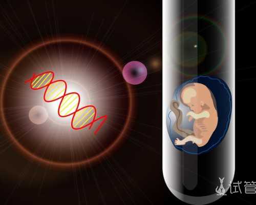 香港验血鉴定男女多少天有结果,备孕期间夫妻双方遵循这些饮食建议，怀孕可