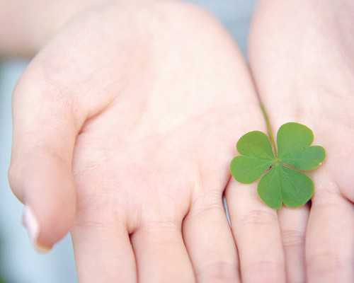 香港10周后还能验血吗,去香港查孩子男女费用_性别鉴定是男孩会翻盘么